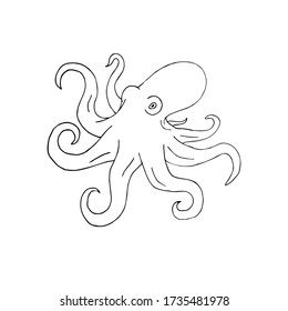 Vector hand drawn doodle sketch octopus isolated on white background