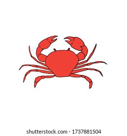 Vector hand drawn doodle sketch colored crab isolated on white background