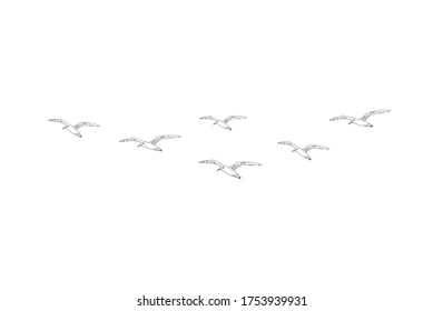 Vector hand drawn doodle sketch flying seagull birds flock isolated on white background