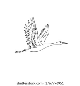 Vector hand drawn doodle sketch flying crane bird isolated on white background
