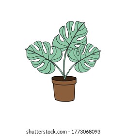 Vector hand drawn doodle sketch colored monstera in pot isolated on white background