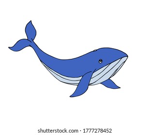 Vector hand drawn doodle sketch blue whale isolated on white background