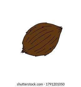 Vector hand drawn doodle sketch colored coconut isolated on white background