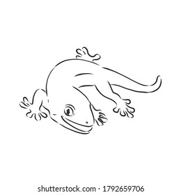 Vector hand drawn doodle sketch gecko lizard isolated on white background. Gecko animal, vector sketch illustration