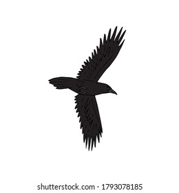 Vector hand drawn doodle sketch colored flying raven isolated on white background