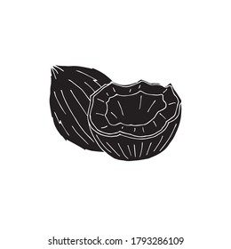 Esbozo de doodle dibujado a mano del vector coco negro aislado en fondo blanco