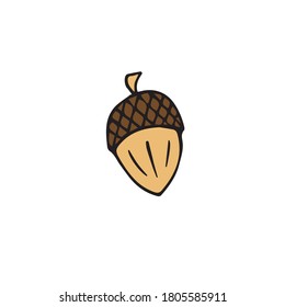 Vector hand drawn doodle sketch colored acorn isolated on white background