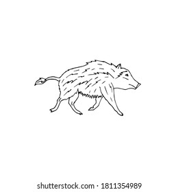 Vector hand drawn doodle sketch wild boar isolated on white background
