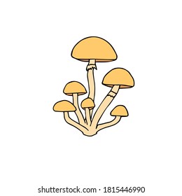 Vector hand drawn doodle sketch colored honey mushroom isolated on white background