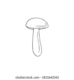 Vector hand drawn doodle sketch Orange cup boletus isolated on white background