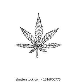 Cannabis-Hanfskizze, handgezeichnet, Vektorgrafik, einzeln auf weißem Hintergrund
