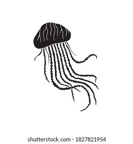 Vector hand drawn doodle sketch black jelly fish isolated on white background