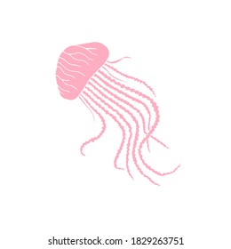 Vector hand drawn doodle sketch pink colored jelly fish isolated on white background