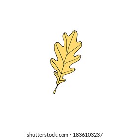 Vector hand drawn doodle sketch yellow oak leaf isolated on white background