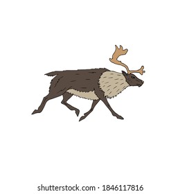 Vector hand drawn doodle sketch colored reindeer isolated on white background
