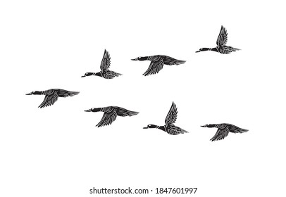 Vector hand drawn doodle sketch black flock of flying duck isolated on white background