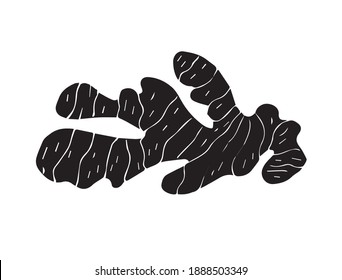 Vector hand drawn doodle sketch black ginger root isolated on white background