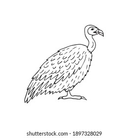 Vector hand drawn doodle sketch griffon vulture bird isolated on white background