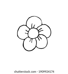 Flor de boceto dibujado a mano del vector aislada en fondo blanco