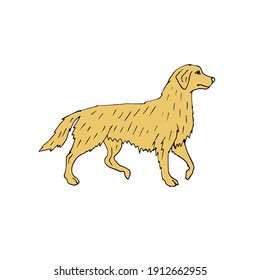 Vector hand drawn doodle sketch colored retriever dog isolated on white background