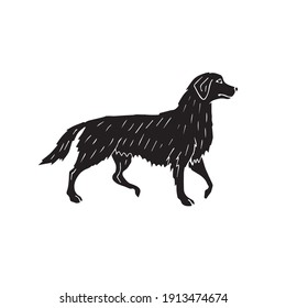 Vector hand drawn doodle sketch black retriever dog isolated on white background