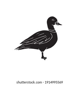 Vector hand drawn doodle sketch black duck isolated on white background