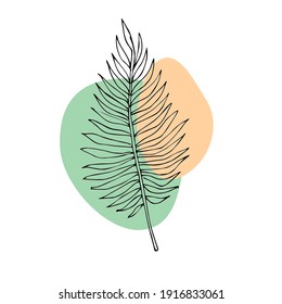 Vector hand drawn doodle sketch palm leaf isolated on white background
