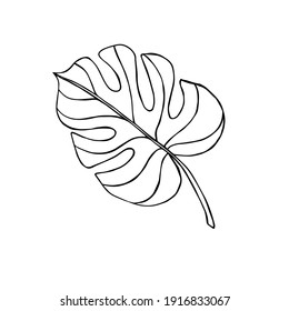 Vector Hand Drawn Doodle Sketch Monstera Stock Vector (Royalty Free ...