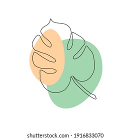 Esbozo de doodle dibujado a mano vectorial hoja monstera de color aislado en fondo blanco