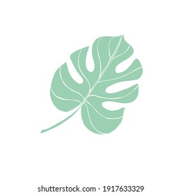 Vector hand drawn doodle sketch mint colored monstera leaf isolated on white background