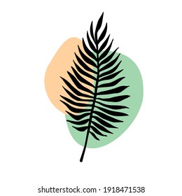 Vector hand drawn doodle sketch palm leaf silhouette isolated on white background