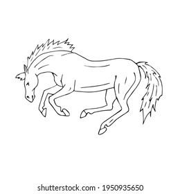 Vector hand drawn doodle sketch kicking horse isolated on white background