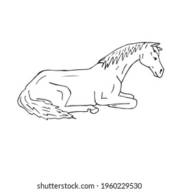 Vector hand drawn doodle sketch laying horse isolated on white background