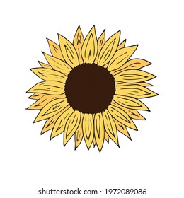 Vector hand drawn doodle sketch colored sun sunflower flower isolated on white background