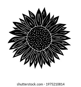 Vector hand drawn doodle sketch black sun sunflower flower isolated on white background
