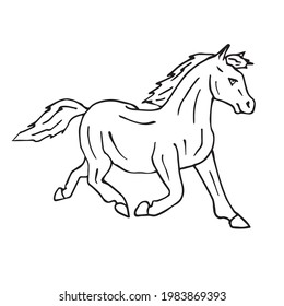 Vector hand drawn doodle sketch pony horse isolated on white background