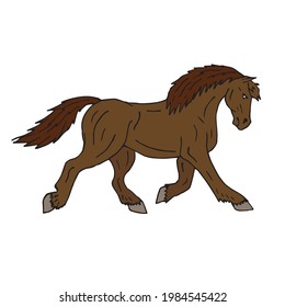 Vector hand drawn doodle sketch colored draft horse isolated on white background