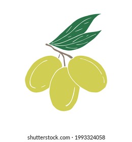 Vector hand drawn doodle sketch green olives isolated on white background