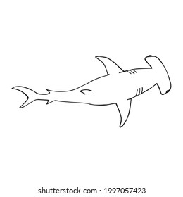 490 Hammer head shark vector Images, Stock Photos & Vectors | Shutterstock