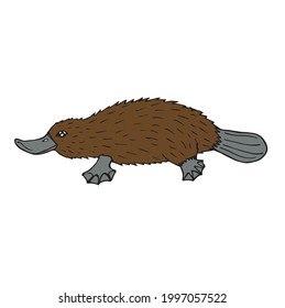 Vector hand drawn doodle sketch colored Platypus duckbill isolated on white background