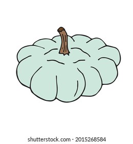 handgezeichnete, doodle-farbene Squashterrasse, einzeln auf weißem Hintergrund