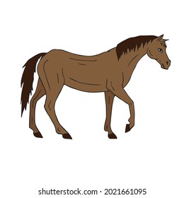Vector hand drawn doodle sketch colored horse isolated on white background
