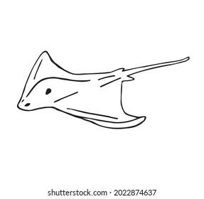 Vector hand drawn doodle sketch skate fish devil fish isolated on white background