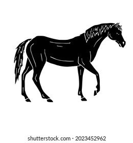 Vector hand drawn doodle sketch black horse isolated on white background