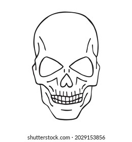 Vector hand drawn doodle sketch human skull isolated on white background