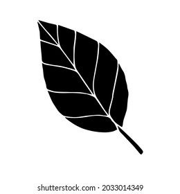 Vector hand drawn doodle sketch black autumn leaf isolated on white background