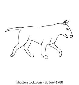 Perro del perro del perro del boceto de la mano dibujado a mano aislado en el fondo blanco