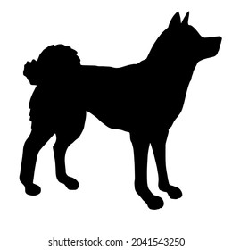 Vector hand drawn doodle sketch Japanese akita inu dog silhouette isolated on white background