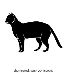 Vector hand drawn doodle sketch black cat isolated on white background