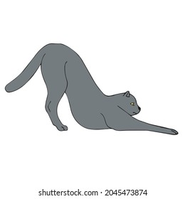 Vector hand drawn doodle sketch colored cat isolated on white background